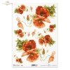 mak, maki, makowe, kwiat, łąka, ogród, lato, R958, poppy, flower, meadow, garden, summer, Mohn, Mohnblume, Blume, Wiese, Garten, Sommer, amapola, flor, prado, jardín, verano 